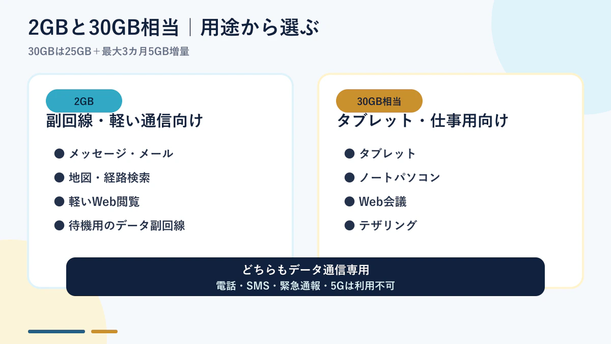 IIJmioデータeSIMの2GBと30GBの用途比較